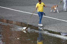 Floods After Heavy Rain In Poland