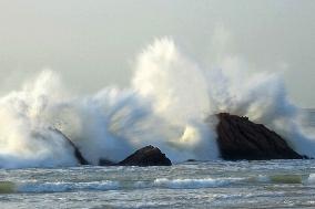 Typhoon Bebika