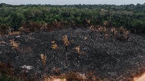 Drought Impacts About 59 Percent Of Territory - Brazil