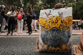 Protest Against Fires And The Climate Situation In São Paulo