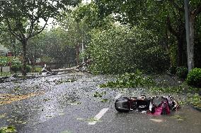 Typhoon Bebinca Hit Shanghai