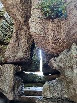 World's First Ordovician Stone Forest