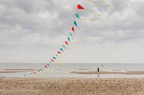 Flying kites