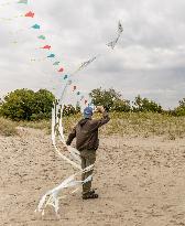 Flying kites