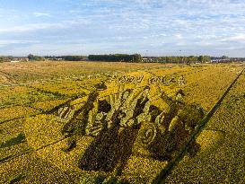 Rice Field Painting