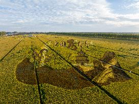 Rice Field Painting