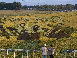 Rice Field Painting