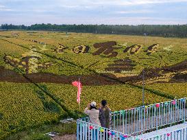 Rice Field Painting