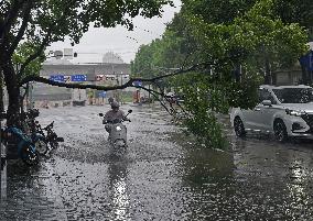 Typhoon Bebinca Lashes Shanghai - China