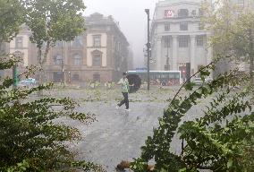 Typhoon Bebinca Lashes Shanghai - China