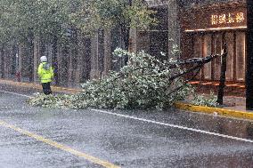 Typhoon Bebinca Lashes Shanghai - China