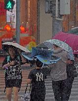 Typhoon Bebinca Lashes Shanghai - China