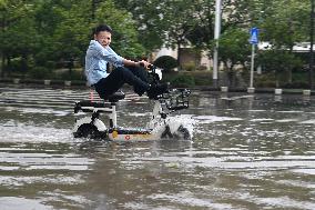 Typhoon Bebinca Hit Taicang