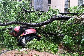 Typhoon Bebinca Hit Taicang