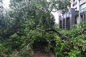 Typhoon Bebinca Hit Taicang