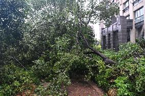 Typhoon Bebinca Hit Taicang