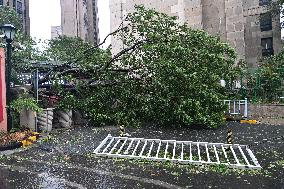 Typhoon Bebinca Hit Taicang