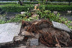 Typhoon Bebinca Hit Taicang