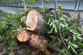 Typhoon Bebinca Hit Taicang