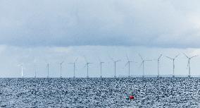 Offshore Wind Farm In Denmark