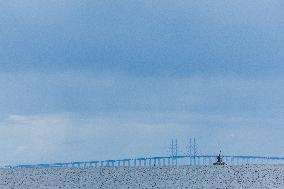 Øresund Bridge Connecting Denmark and Sweden