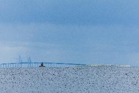 Øresund Bridge Connecting Denmark and Sweden