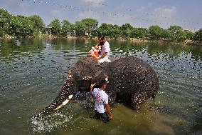 Hindu Lord Ganesha Idol Immersion Procession In Jaipur