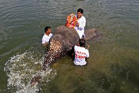 Hindu Lord Ganesha Idol Immersion Procession In Jaipur