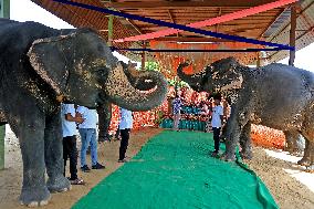 Hindu Lord Ganesha Idol Immersion Procession In Jaipur