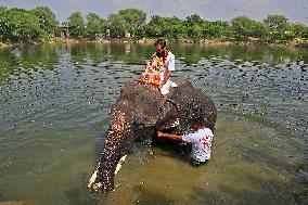 Hindu Lord Ganesha Idol Immersion Procession In Jaipur