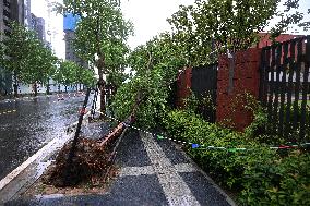 Typhoon Bebinca Hit Nanjing