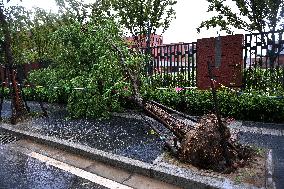 Typhoon Bebinca Hit Nanjing