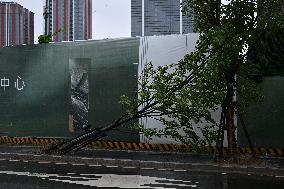 Typhoon Bebinca Hit Nanjing