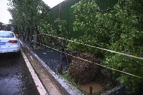 Typhoon Bebinca Hit Nanjing