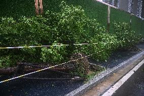 Typhoon Bebinca Hit Nanjing