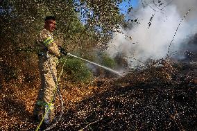 Ballistic Missile Fired By Houthis Hits Central Israel