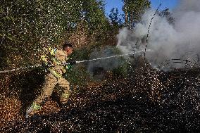 Ballistic Missile Fired By Houthis Hits Central Israel