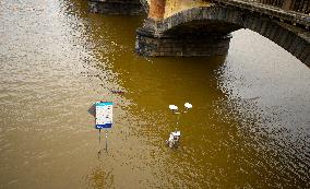 Central Europe Flooding Leaves At Least 16 Dead - Prague