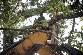 The Last ZAD (Zone To Defend), The 'Verger' On The Planned A69 Highway