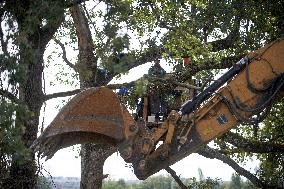 The Last ZAD (Zone To Defend), The 'Verger' On The Planned A69 Highway