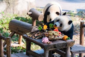 Giant Pandas Eat Mooncakes to Celebrate The Mid-Autumn Festival