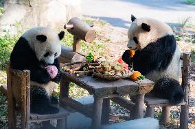 Giant Pandas Eat Mooncakes to Celebrate The Mid-Autumn Festival