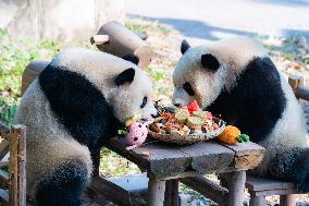 Giant Pandas Eat Mooncakes to Celebrate The Mid-Autumn Festival