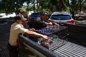 Handover Of Protected Animals To Natural Resources Conservation Centre