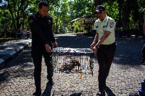 Handover Of Protected Animals To Natural Resources Conservation Centre