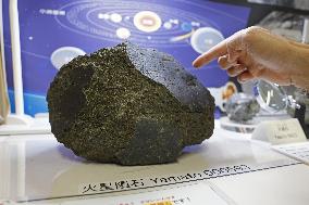 Mars meteorite to feature at 2025 Osaka Expo