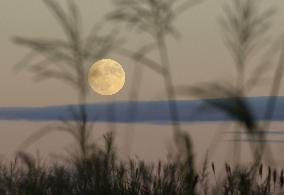 Harvest moon