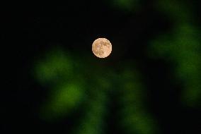 September Full Harvest Moon 2024