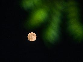 September Full Harvest Moon 2024