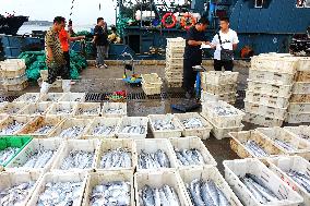 Seafood Supply in Qingdao